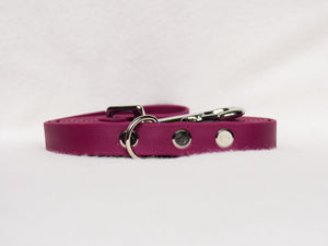 Wine colored 16mm biotane leash