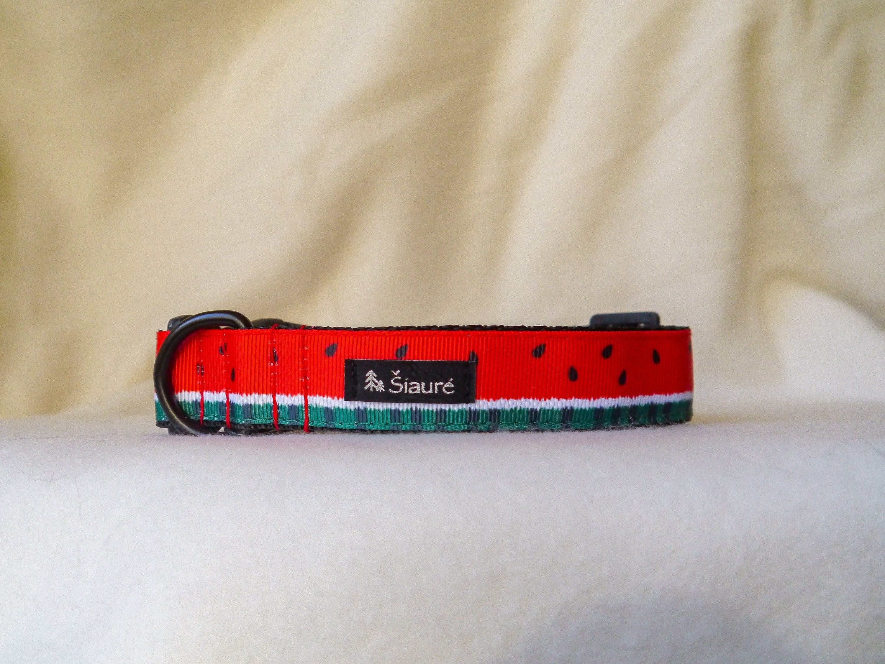 Collar "Watermelon" | 2.5 cm wide